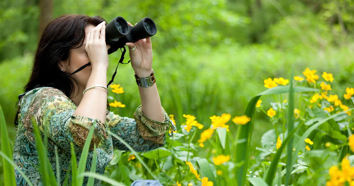 Woman bird watching with binoculars in field