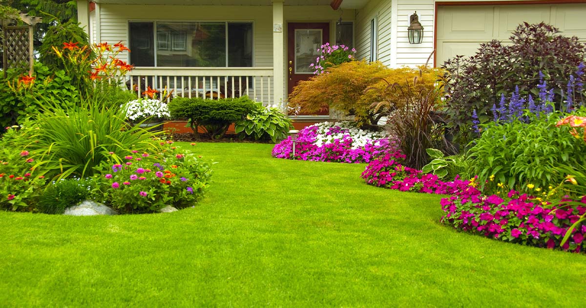 beautiful yard with flowers