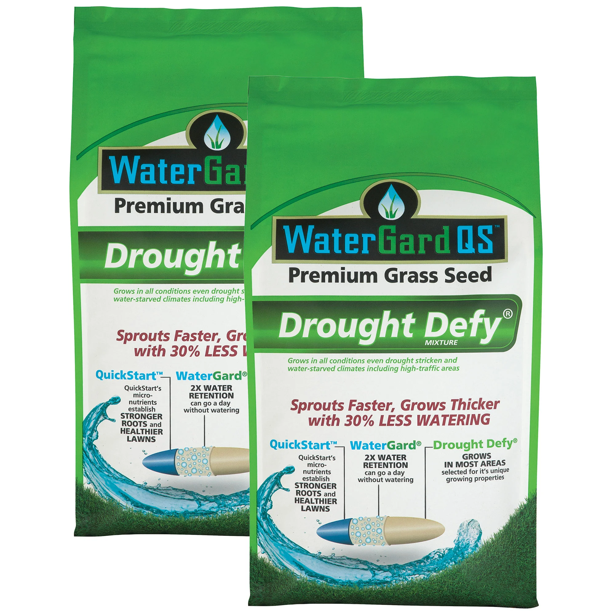 grass seed