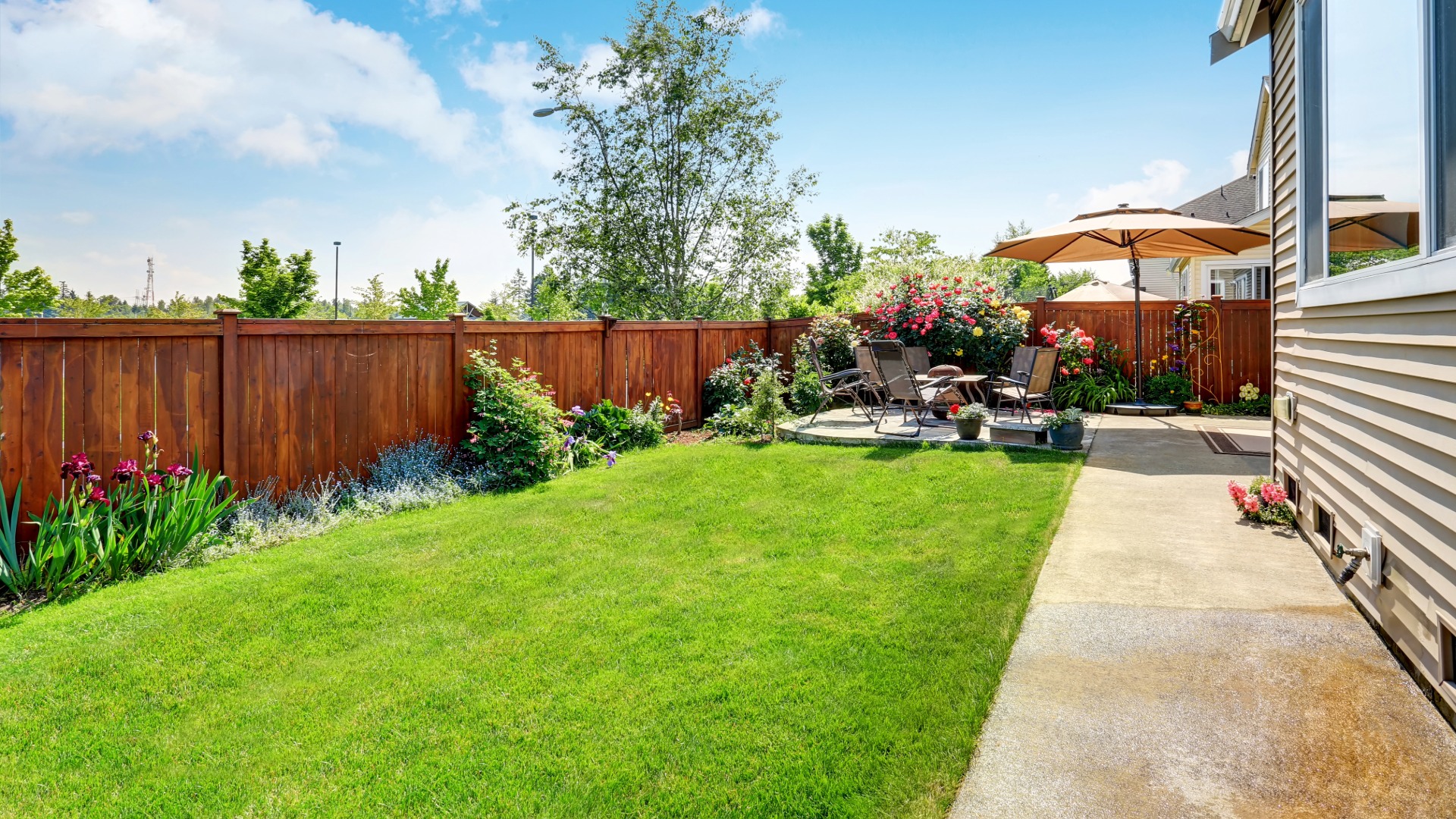 backyard