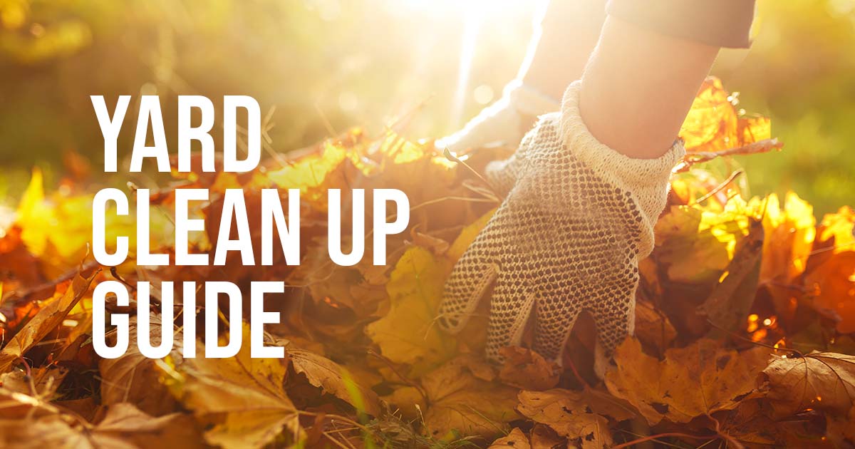 Yard Clean Up Guide!