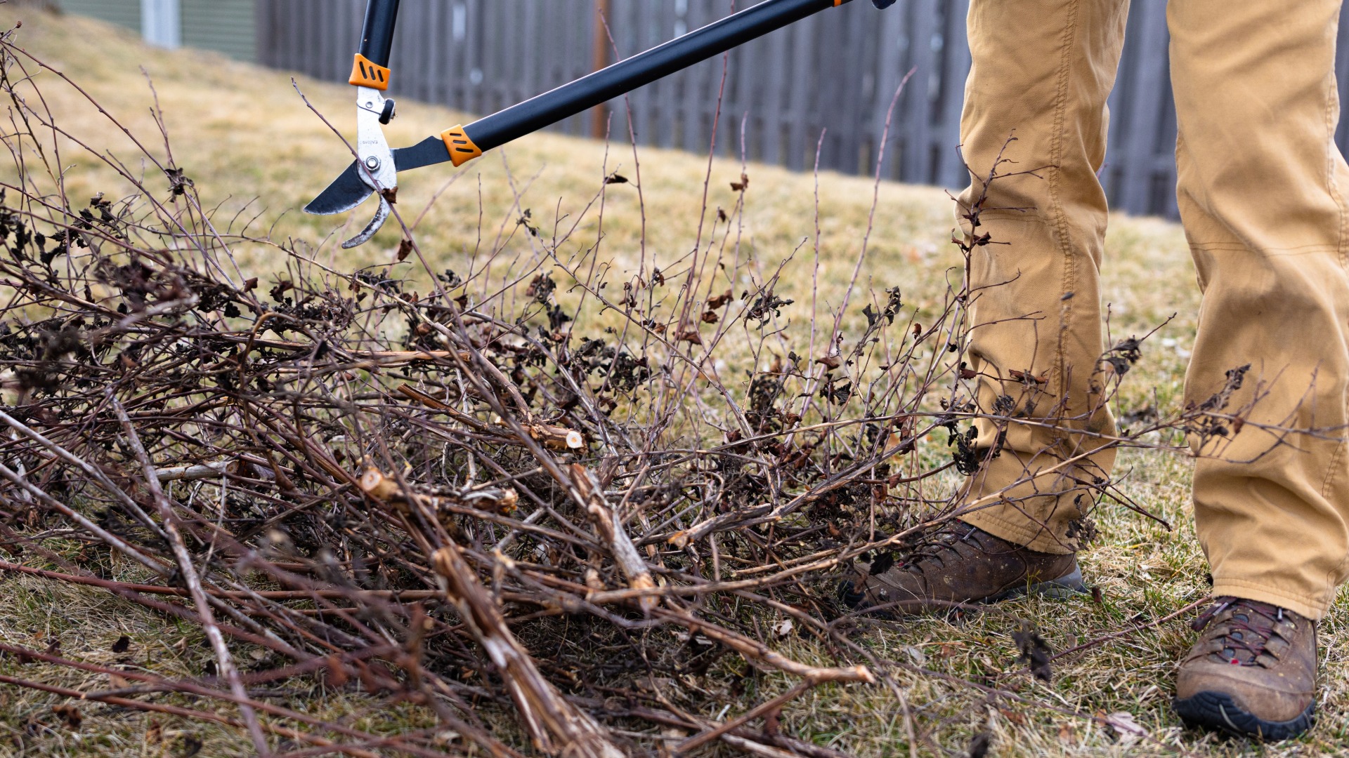 Transform Your Yard This Fall: The Must-Read Guide Everyone's Talking About!