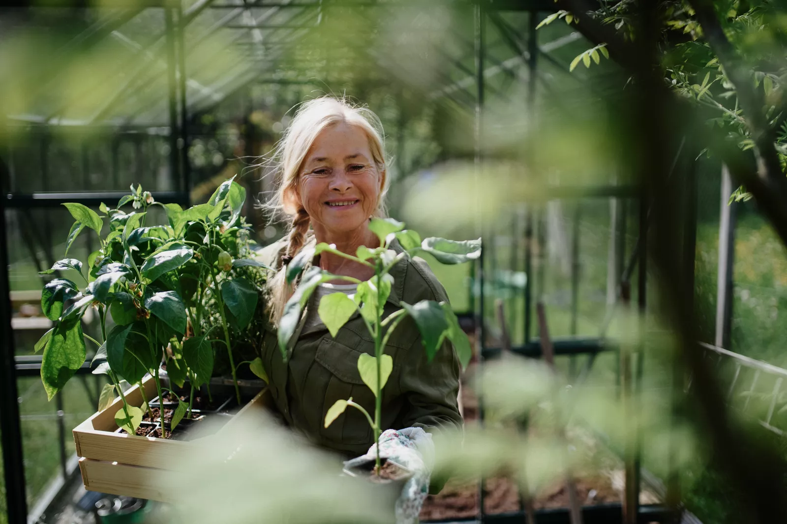 Garden Starters: Choosing the Right Seedlings for Your Region