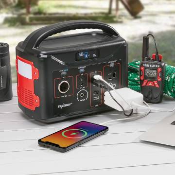 Tenergy 300W Portable Power Station