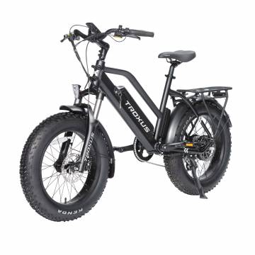 Troxus Skyhopper Fat-Tire Electric Bike