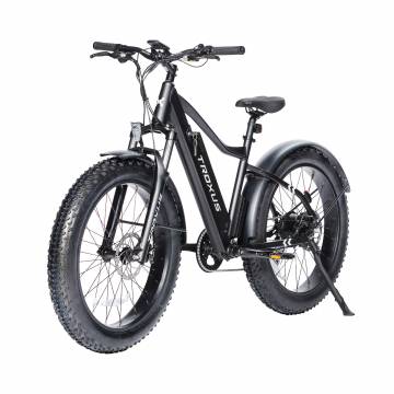 Troxus Vulcanus Fat-Tire Electric Bike