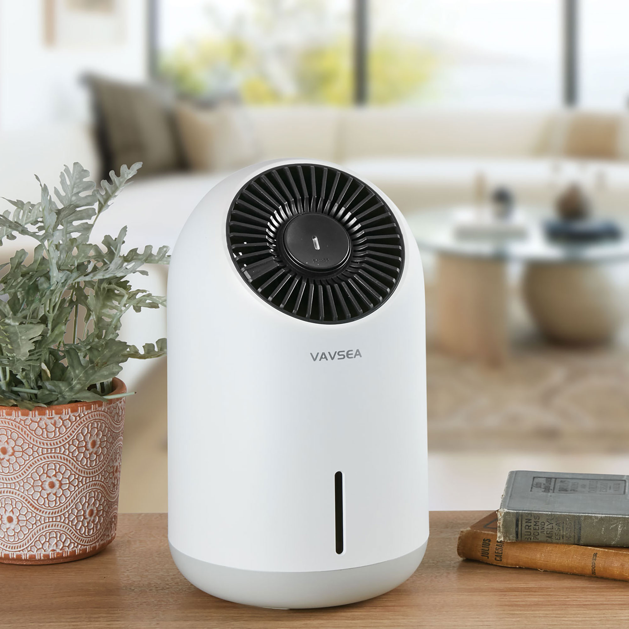 Vavsea Compact Dehumidifier