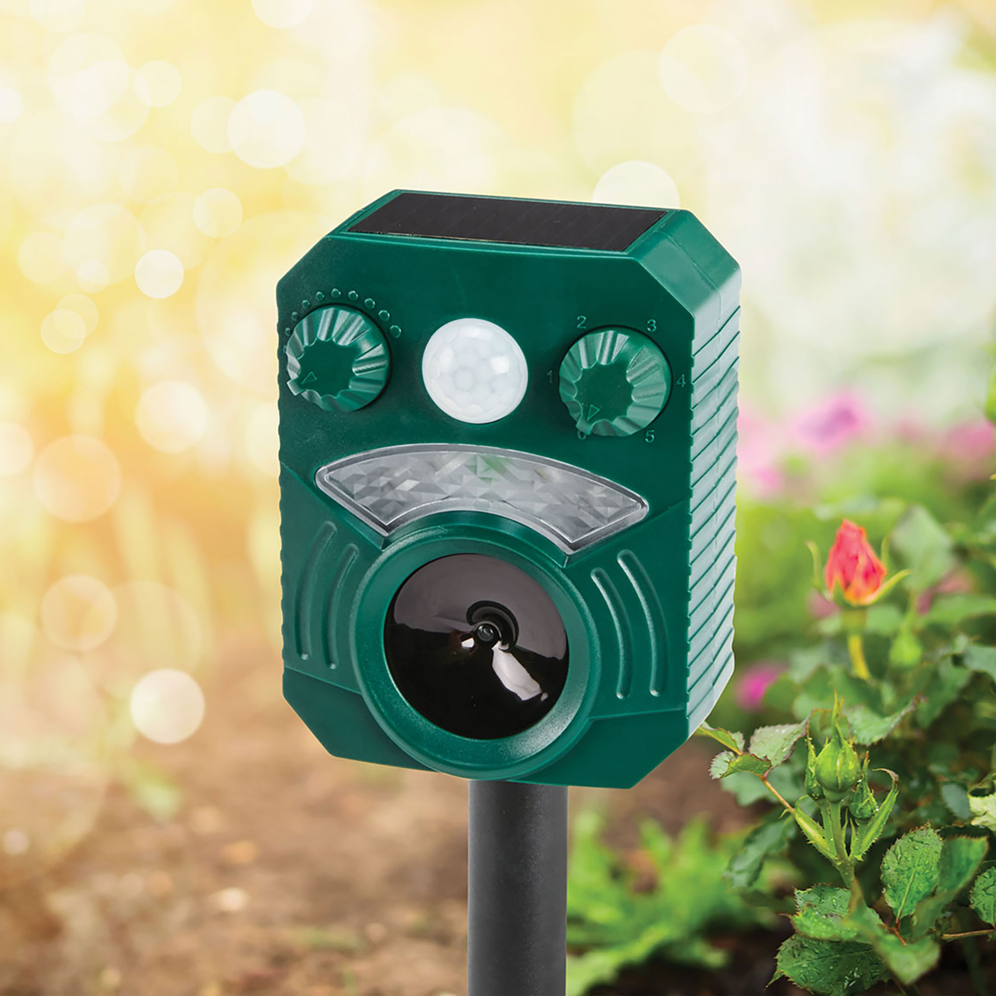 Ultra-Sonic Animal Repeller