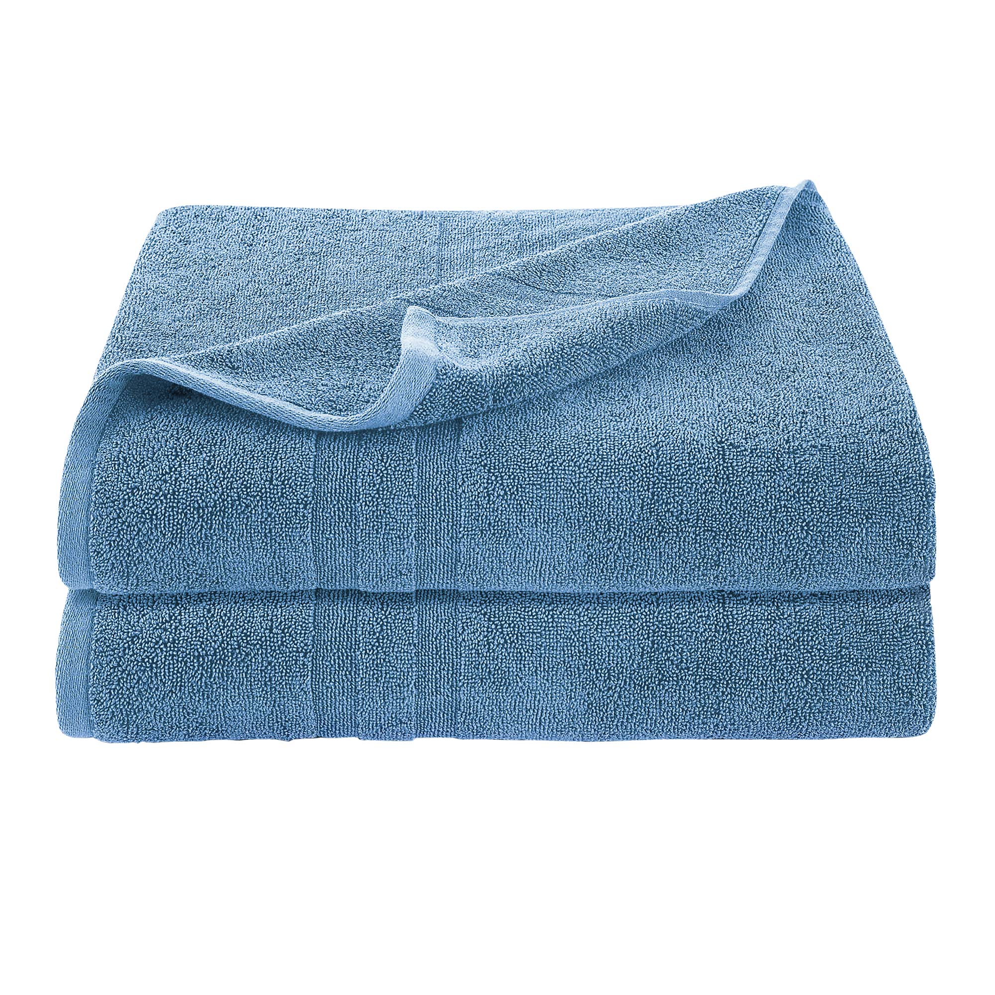 2-Pack Blue Antimicrobial Towels