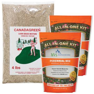 Grass Seed &amp; Wildflower Bundle