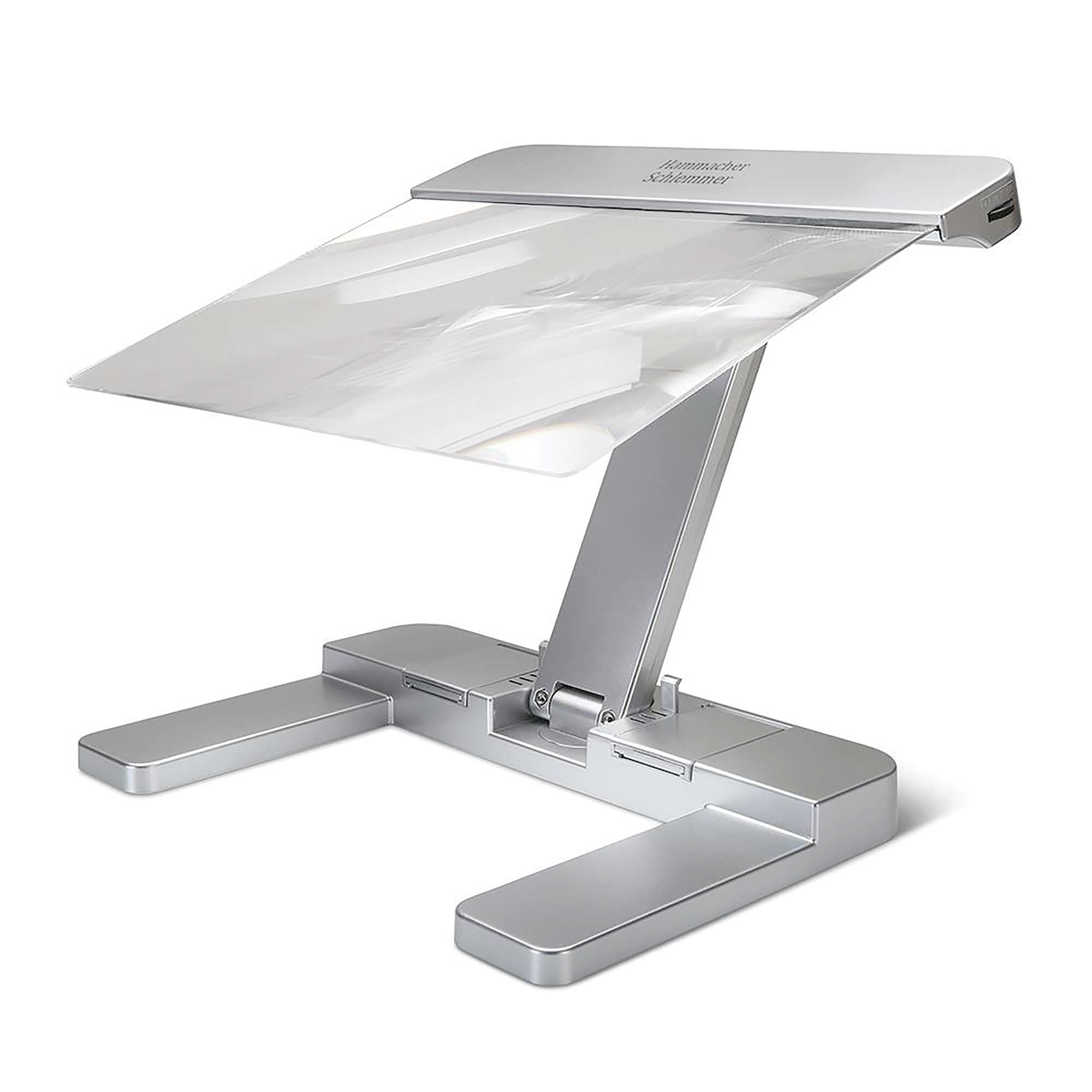 Full Page Desktop Magnifier