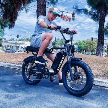 Natko Fat Tire E-Bike