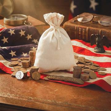Bankers Bag - 250 Wheat Pennies