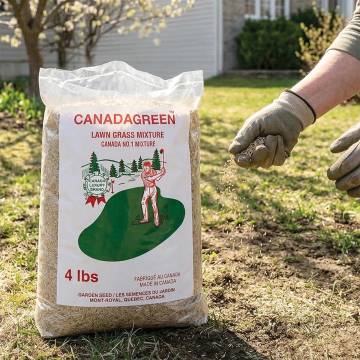 Canada Green Premium Grass Seed - 4 Pound Bag | As Seen On TV