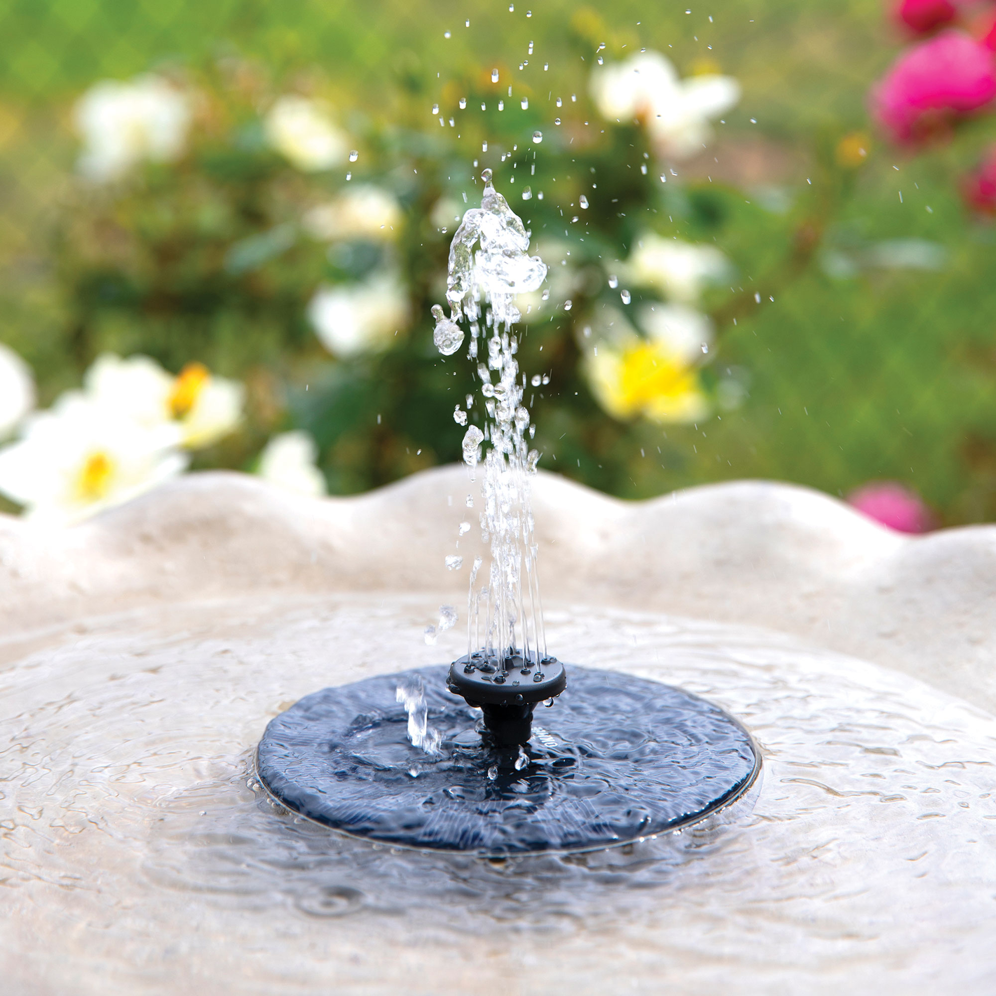 Fast Fountain Solar-Powered Fountain by Pocket Hose