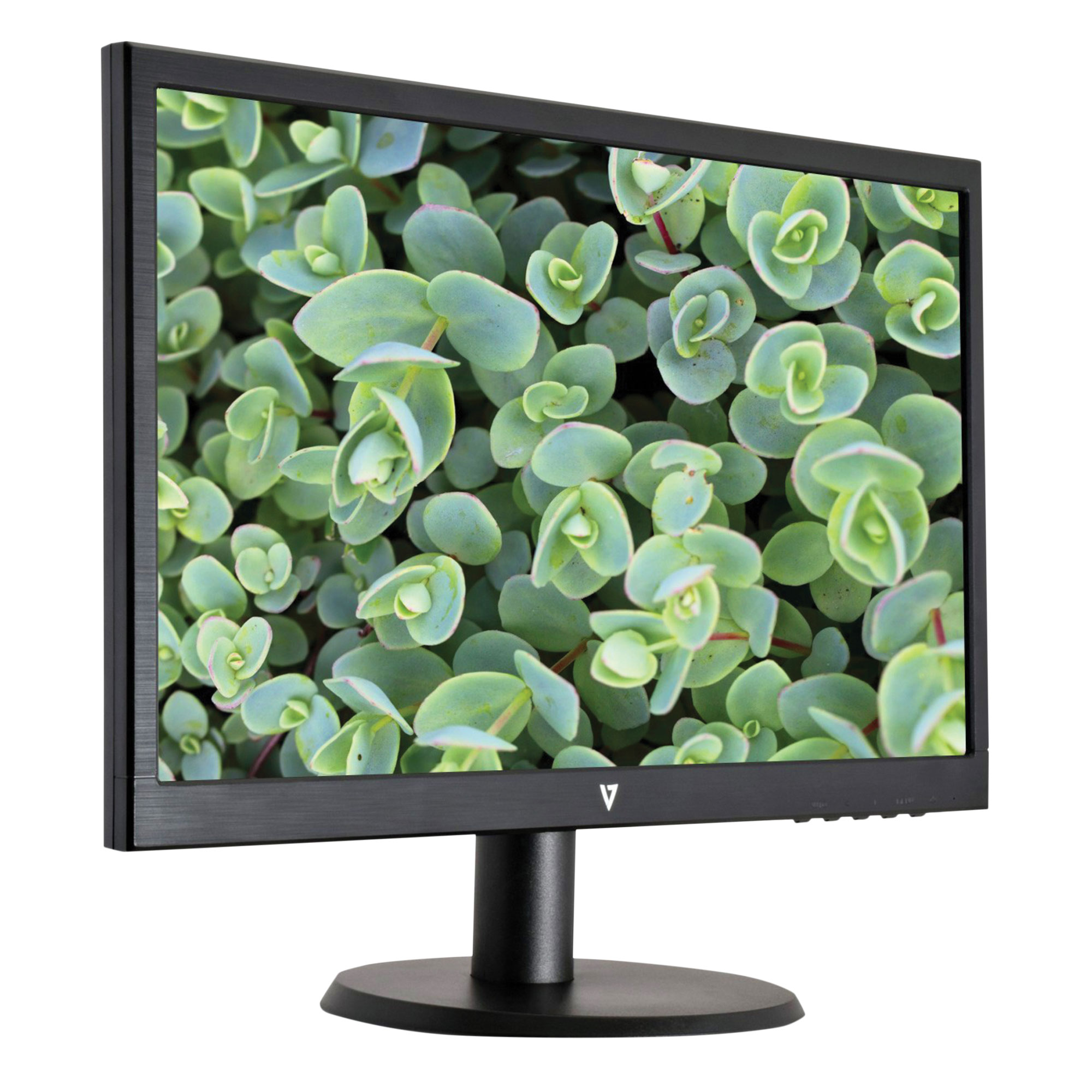 V7 22 inch LED Computer Monitor