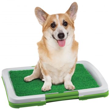 FineLife Indoor Pet Potty Trainer Tray
