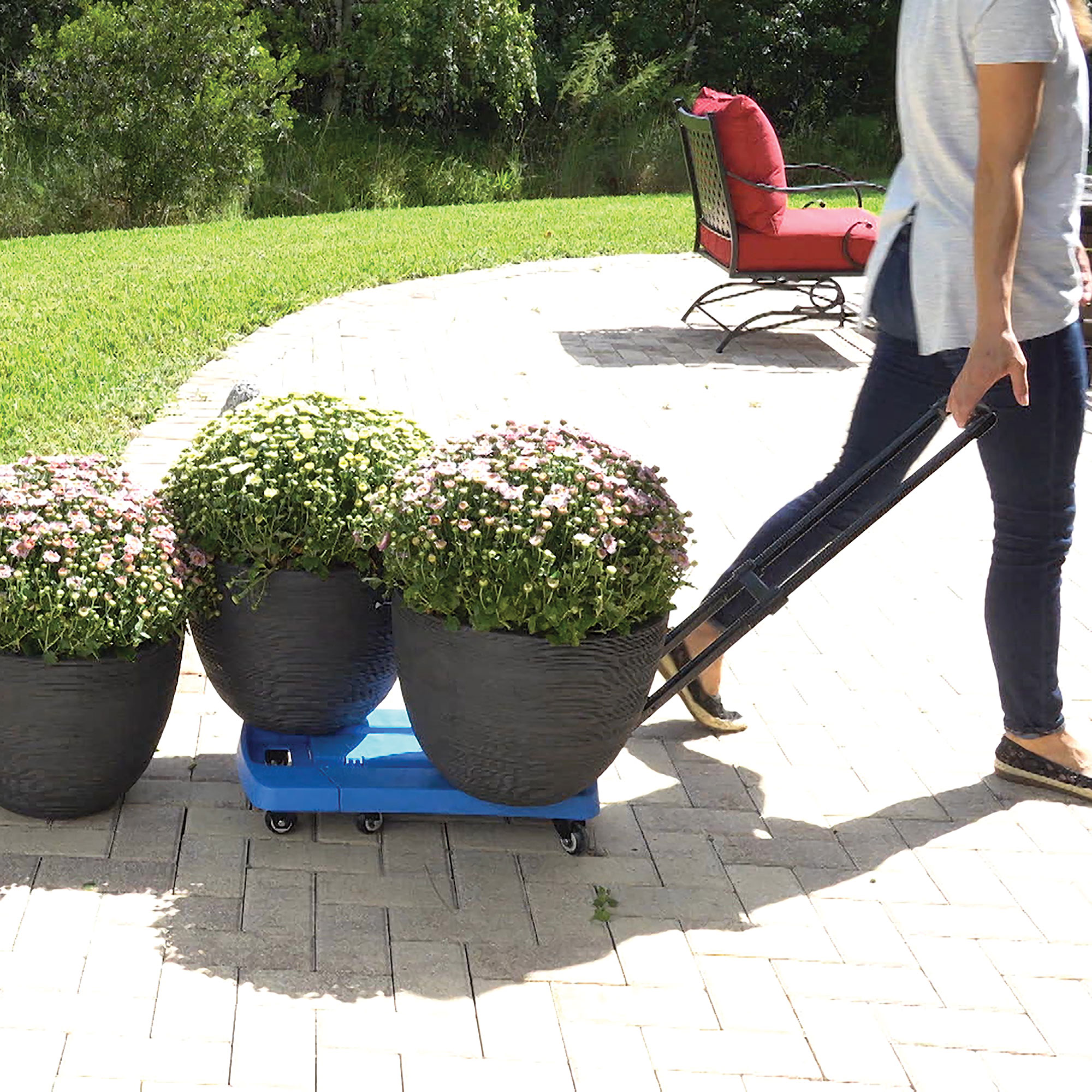 Adjustable and Collapsible Dolly Cart
