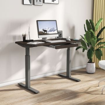 Motionwise 24x48 Adjustable Desk