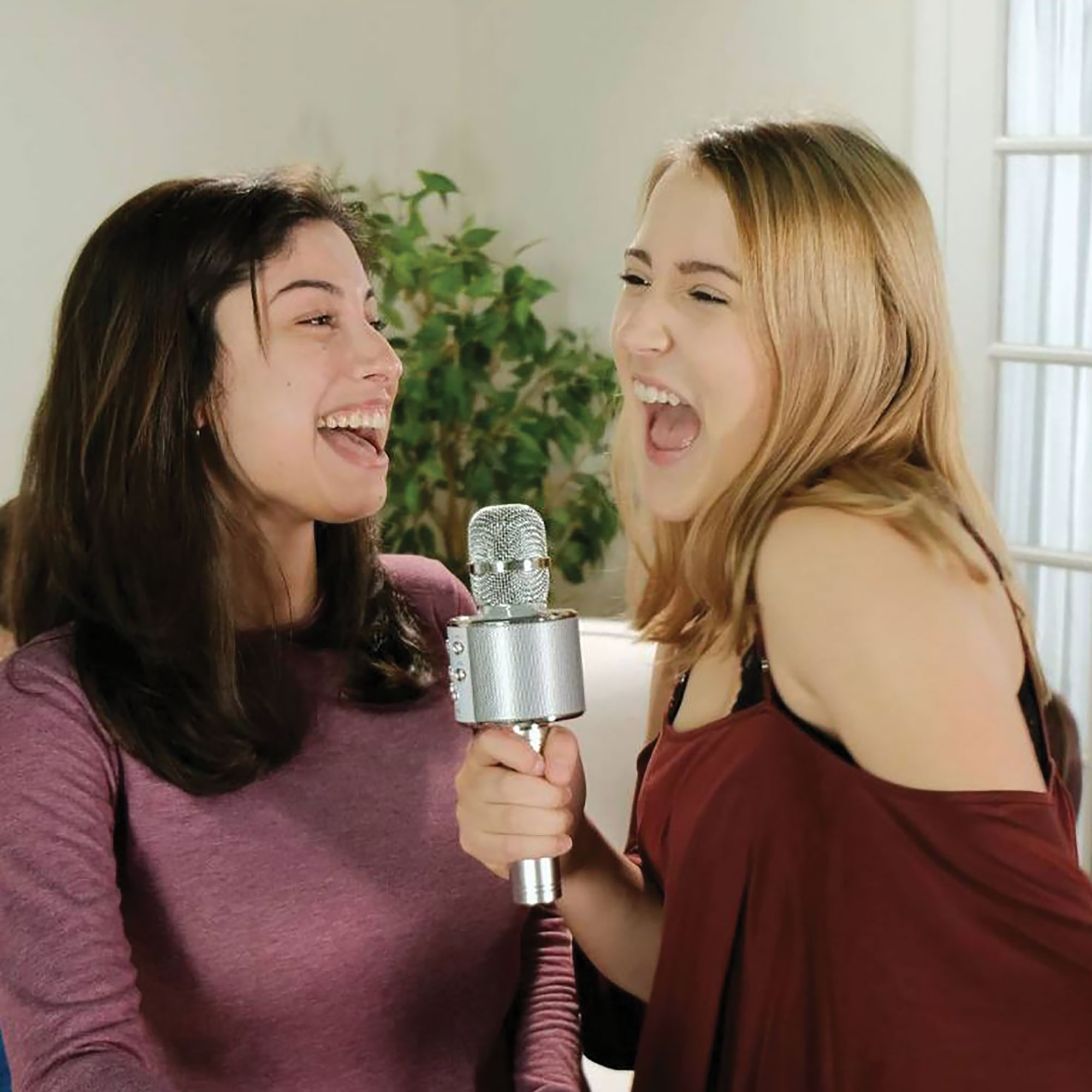 Mr. Microphone Wireless Karaoke Microphone