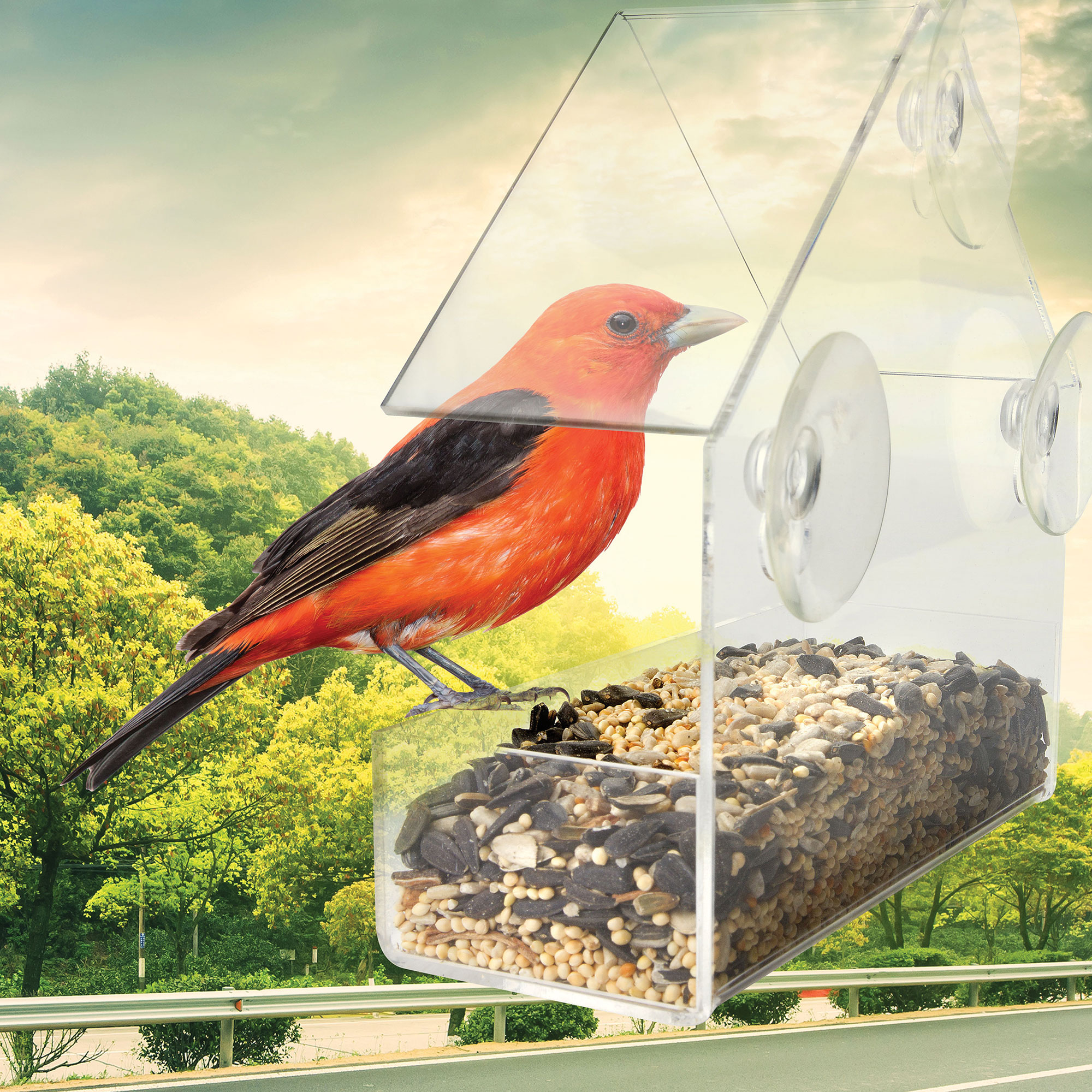 Ideas in Motion Window Bird Feeder