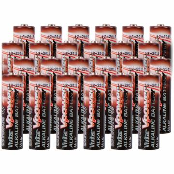 Vivitar Alkaline AA Batteries - 24 Pack
