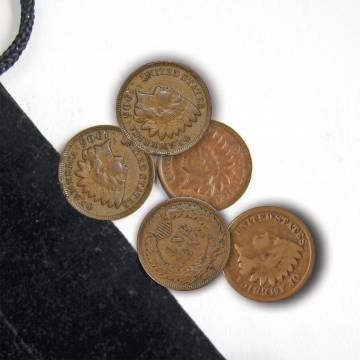 The Matthew Mint 5 Piece Indian Head Penny Set