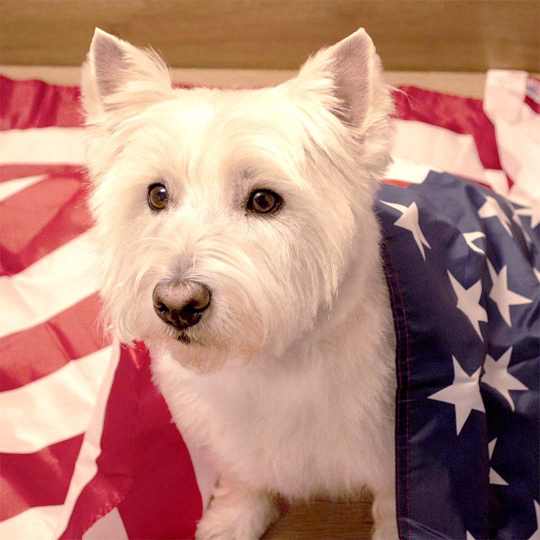 Frankie-Mascott