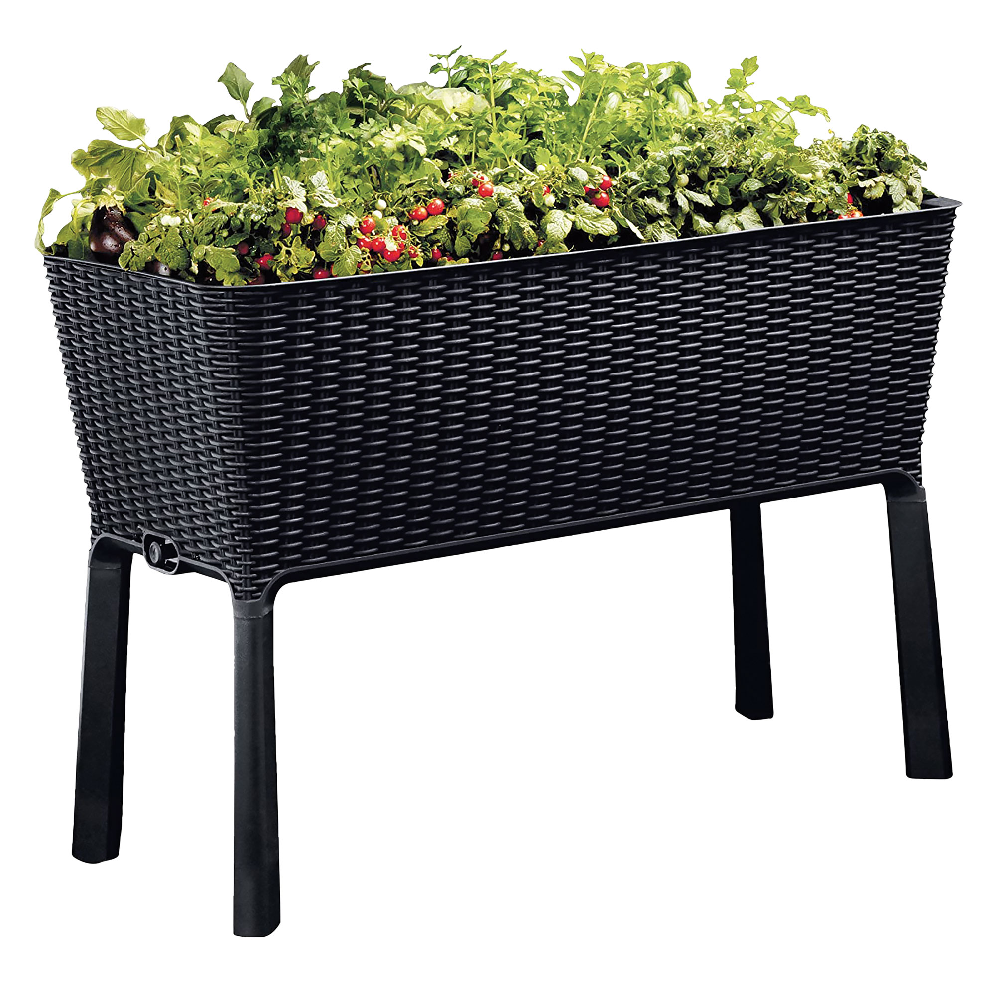 Keter Easy-Grow Garden Planter