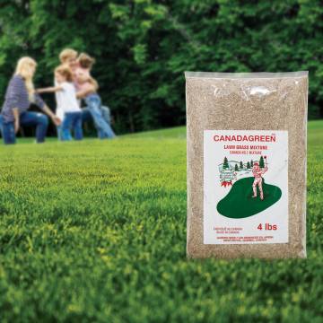 Canada Green Premium Grass Seed - 4 Pound Bag | As Seen On TV