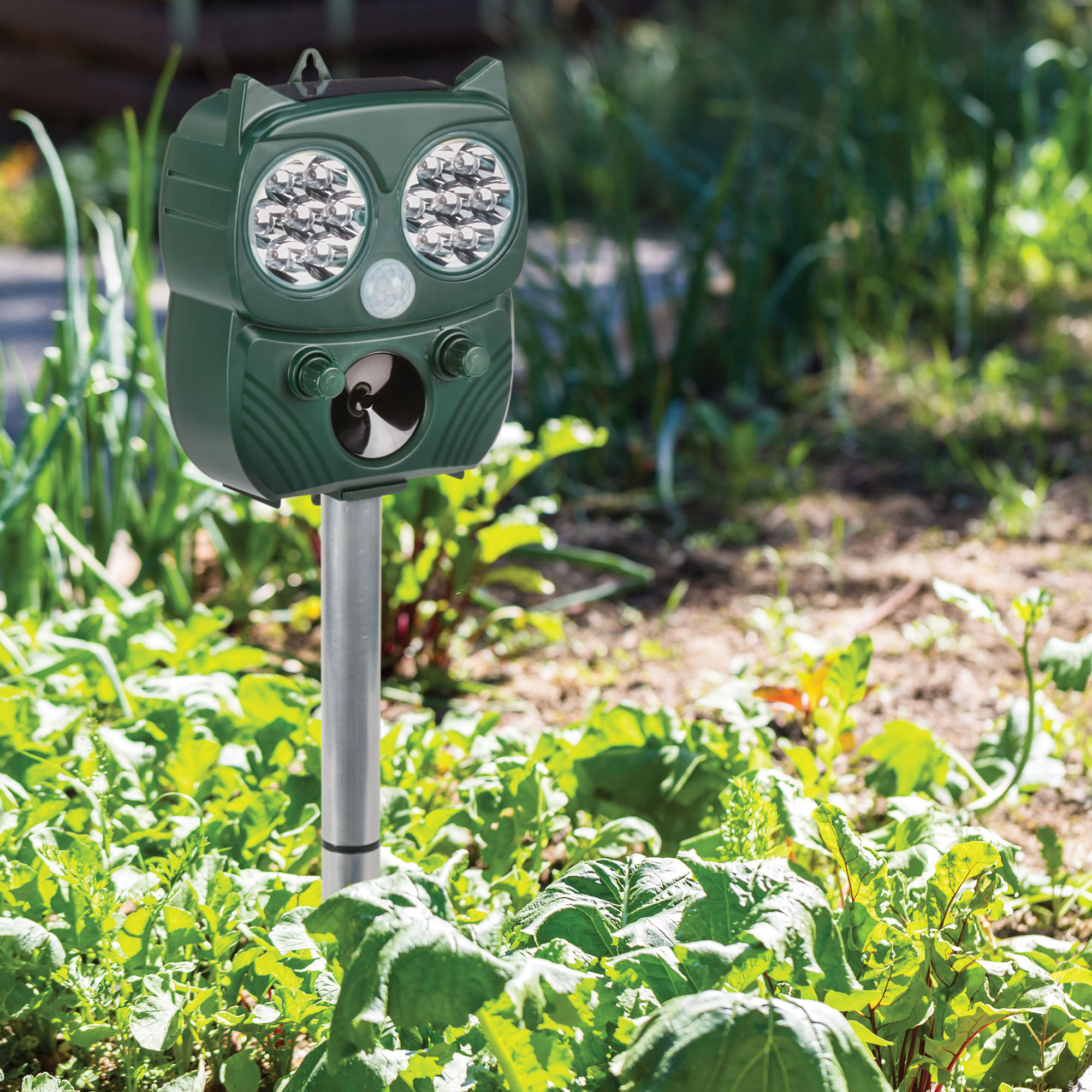 Motion-Activated Owl Pest and Animal Repeller - Green