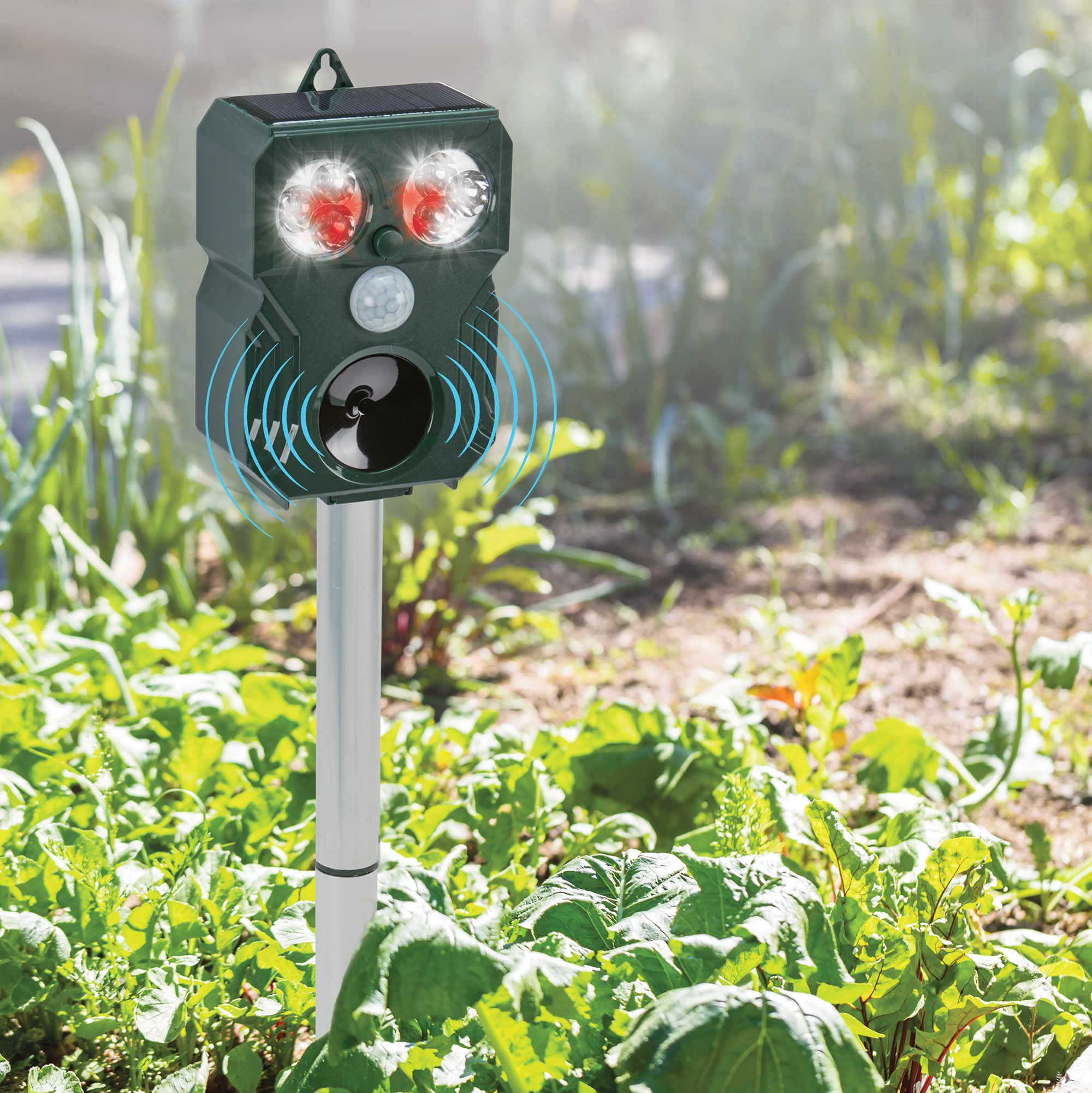 Zovenchi Owl Animal Repeller