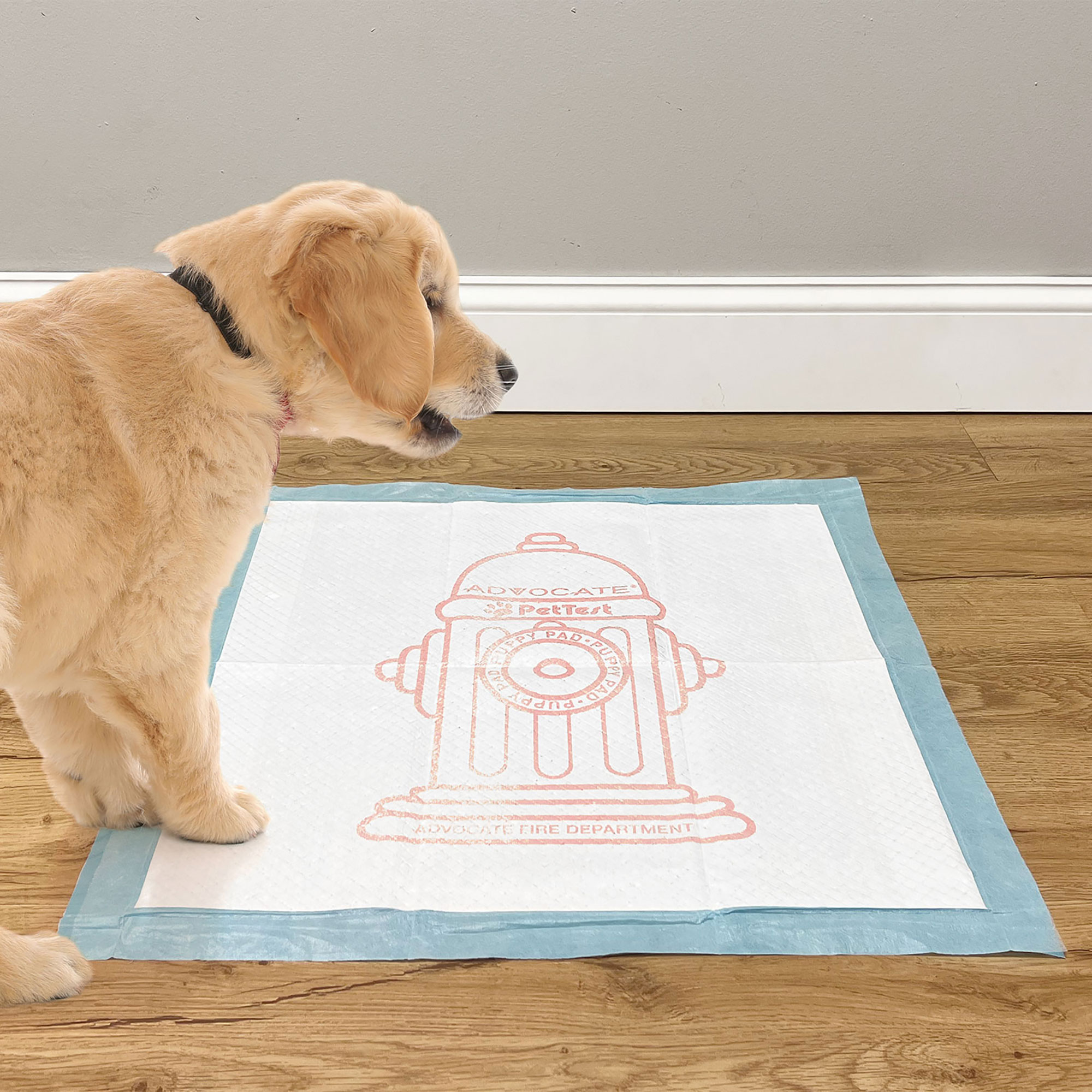 PetTest Pet Potty Pads - 200 Pack