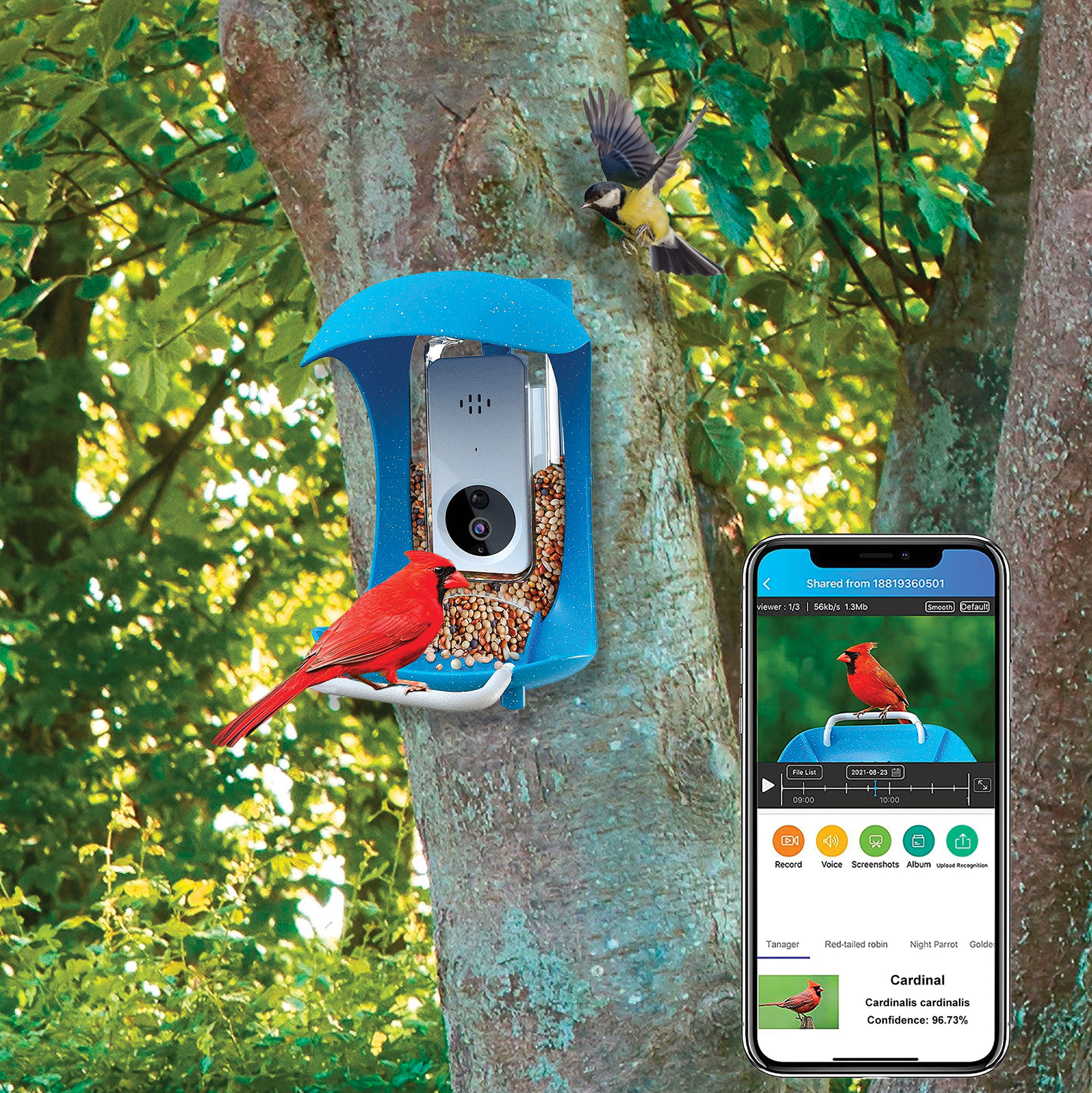 Smart Bird Feeder with Video Camera - Identifies 10,000+ Species of Bird!