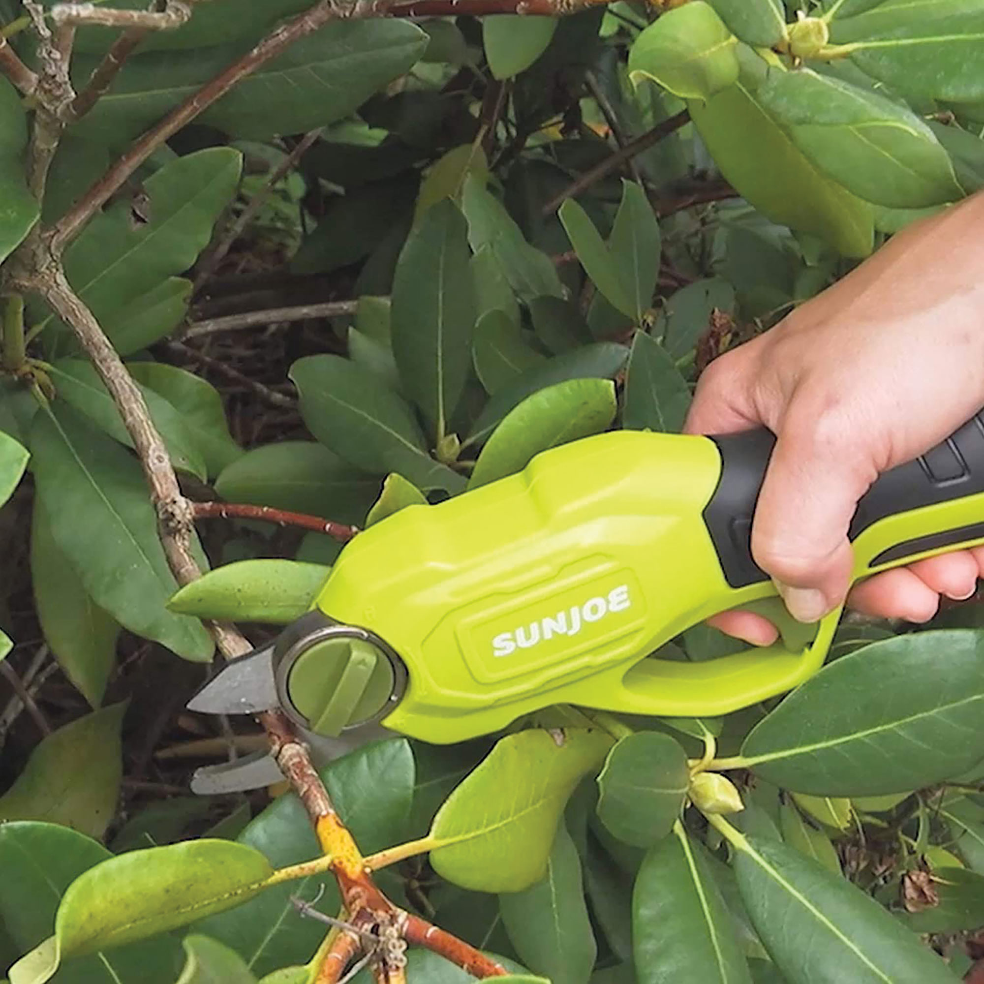 Sun Joe Power Pruner - Cordless & Ergonomic Design