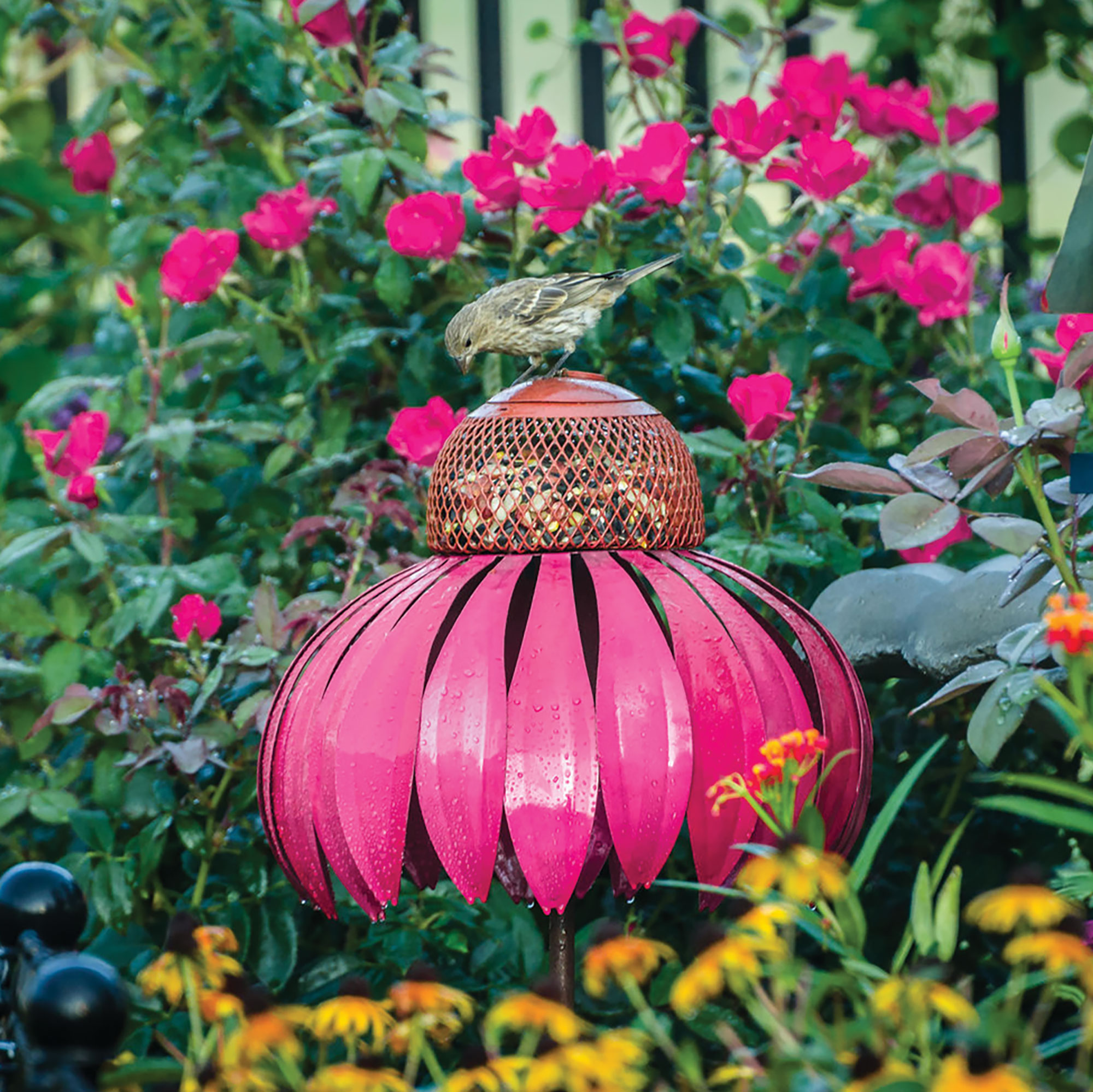 Magenta Coneflower Bird Feeder
