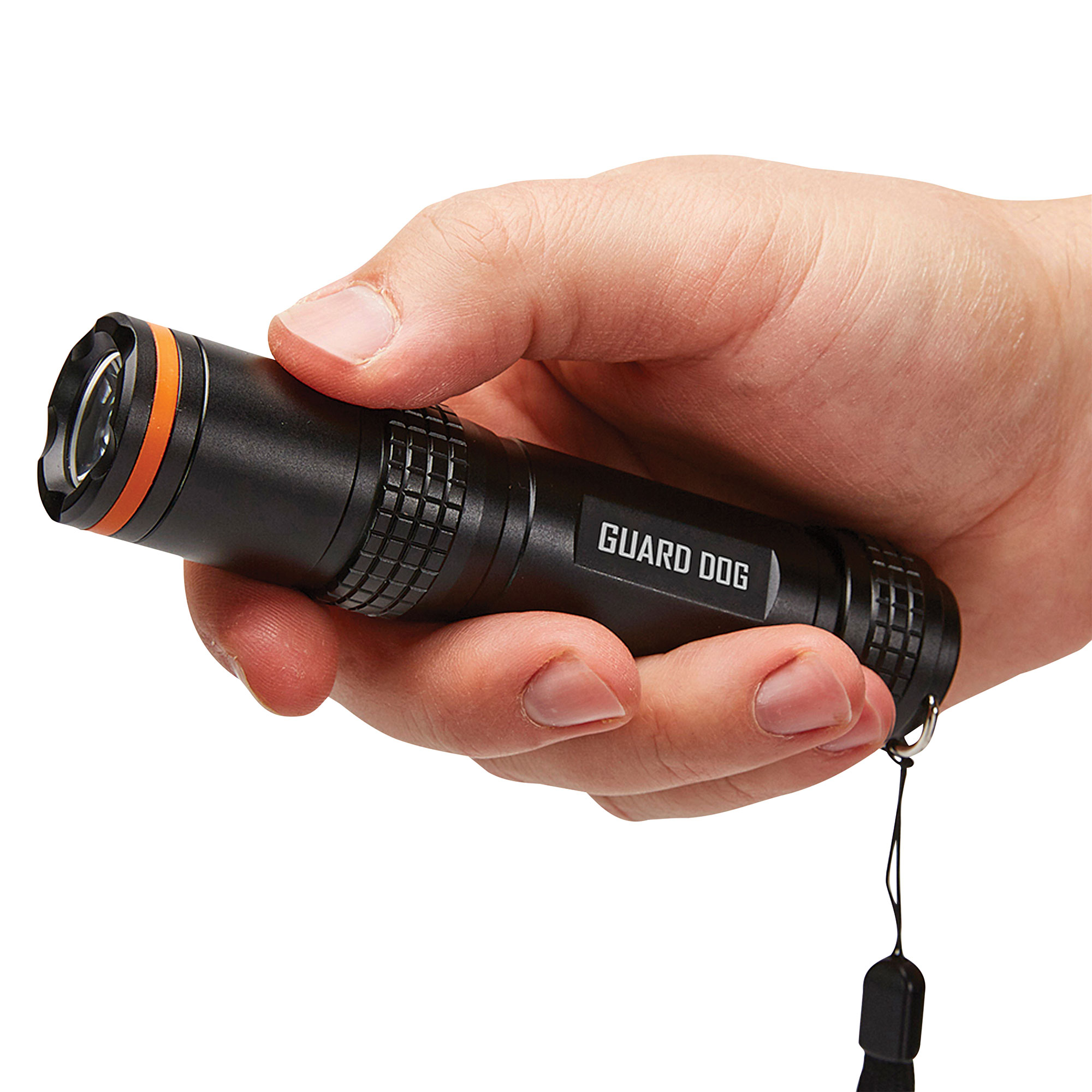FlareLite 450 Lumen Flashlight/Lantern - 2 Pack